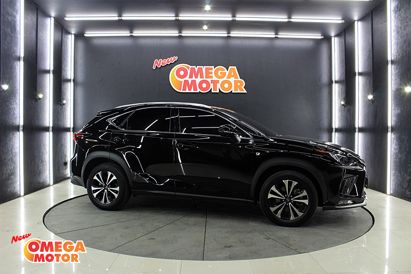 Omega Mobil LEXUS NX300 AT (KM 10.976) 